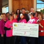 Cancer Support check presentation 2014