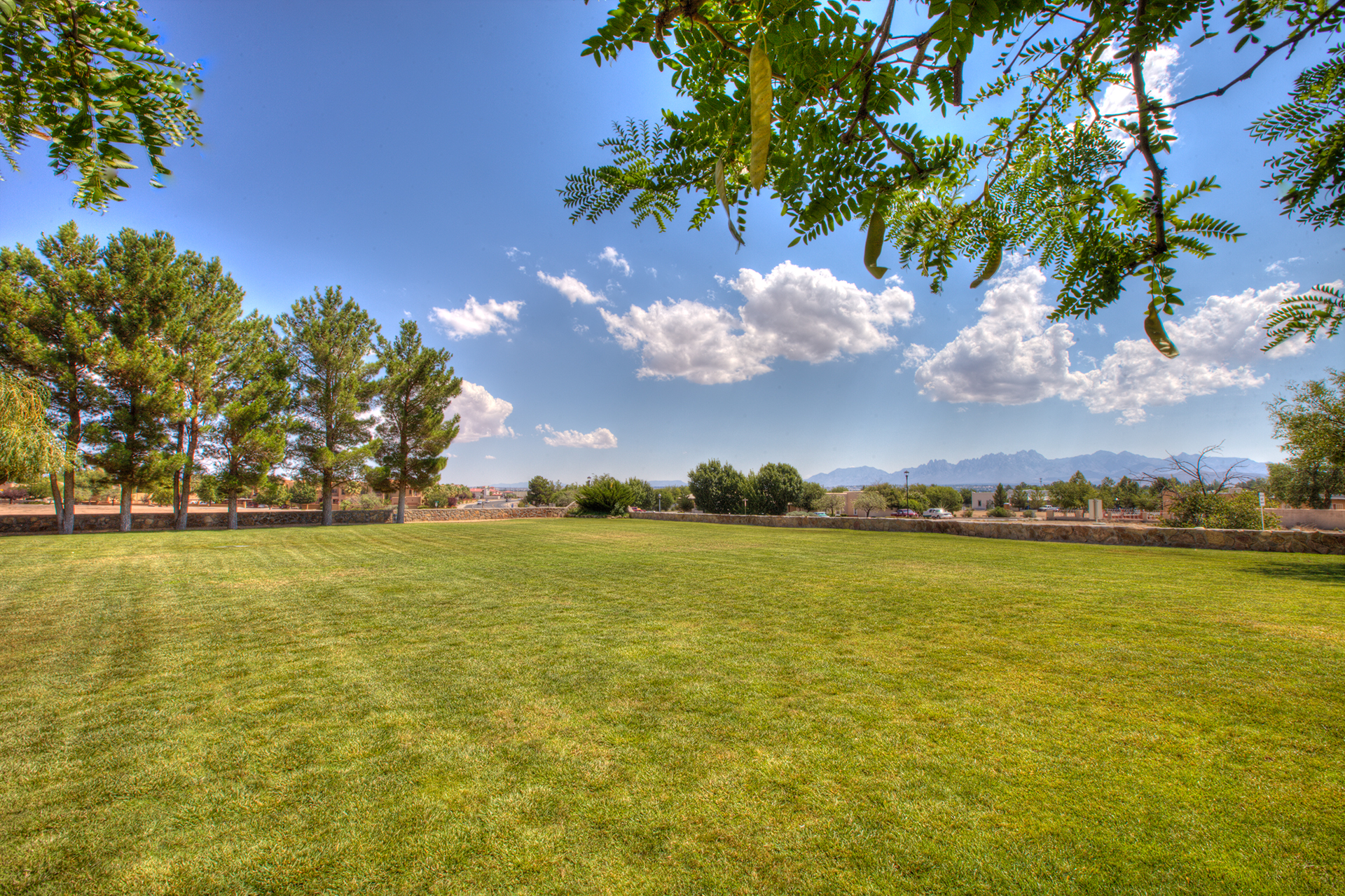 Beautiful outdoor event space on our lawn at D.H. Lescombes Winery & Bistro in Las Cruces gives a great view of the Organ Mountains to the east.