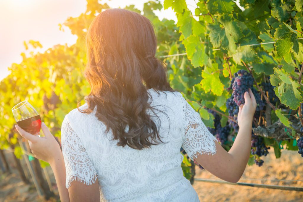 vineyard tour at Lescombes Family Vineyards in New Mexico