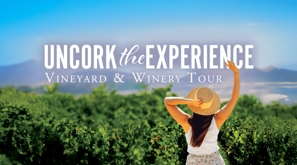 Vineyard and Winery Tours at D.H. Lescombes Winery in Deming. We offer tours departing from either Deming or Las Cruces. Check out our scheduled tours, or call us to book a custom private tour at 575-546-1179